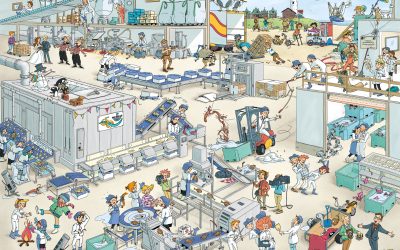 Jubileum puzzel Van der Lee Seafish